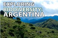 Expeditions in South America